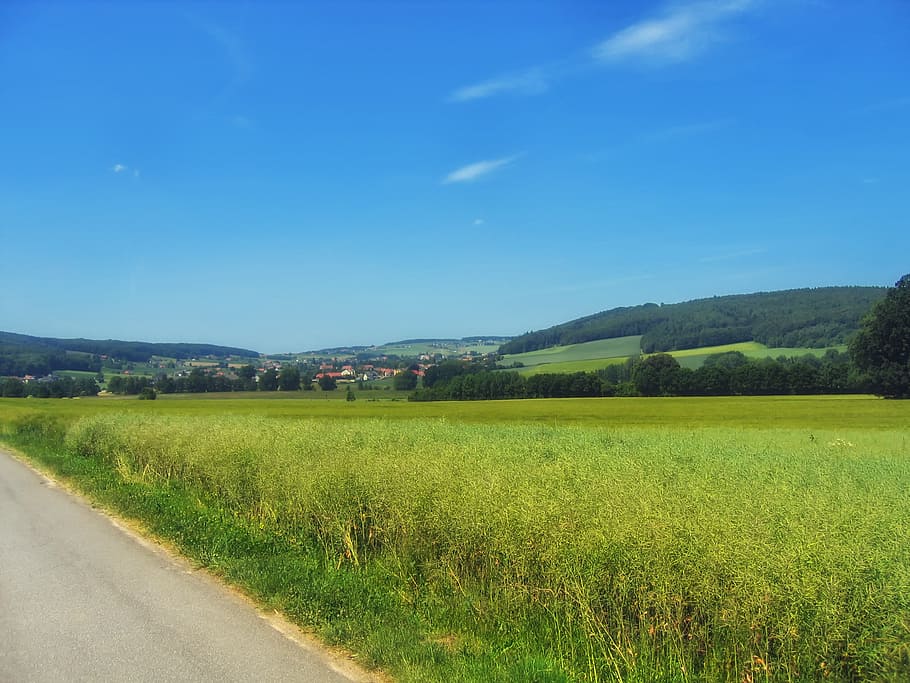germany, field, plants, grass, sky, clouds, road, rural, country HD wallpaper