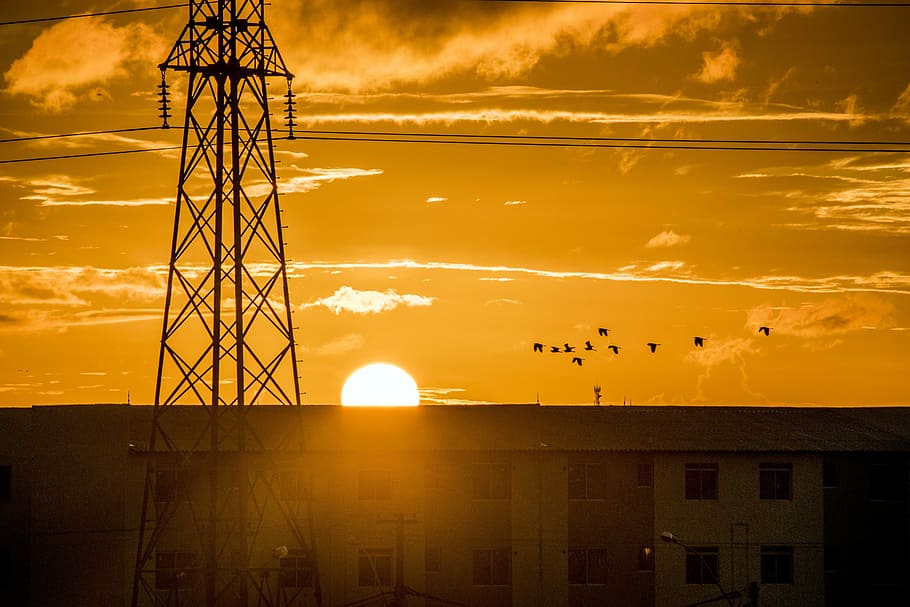 Antenna, Sunset, Birds, cloud - sky, dramatic sky, silhouette HD wallpaper