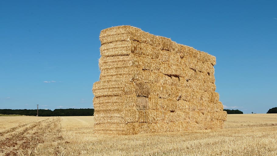 Online Crop Hd Wallpaper Hay Forage Balls Boots Pre Bale Of Hay Stacking Height 1349