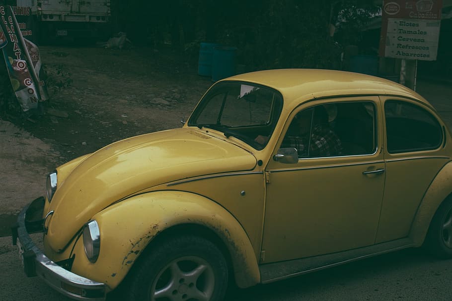 beetle, car, classic, driving, person, vehicle, volkswagen HD wallpaper