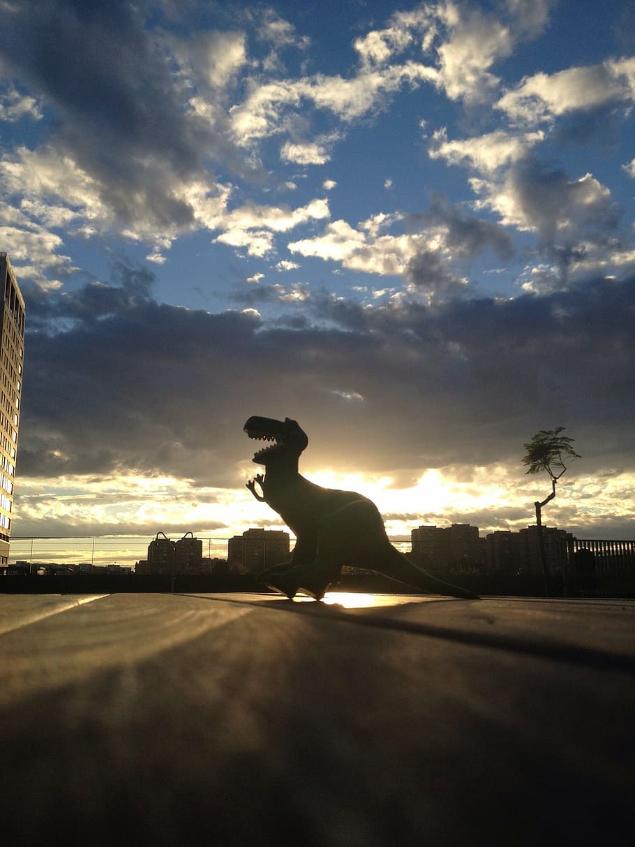 dinosaur, sky, backlight, sunset, cloud - sky, sunlight, silhouette HD wallpaper