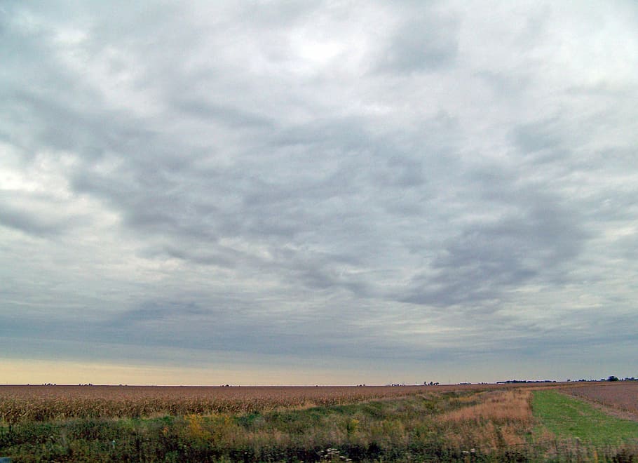 indiana, field, autumn, fall, farm, landscape, rural, agriculture, HD wallpaper