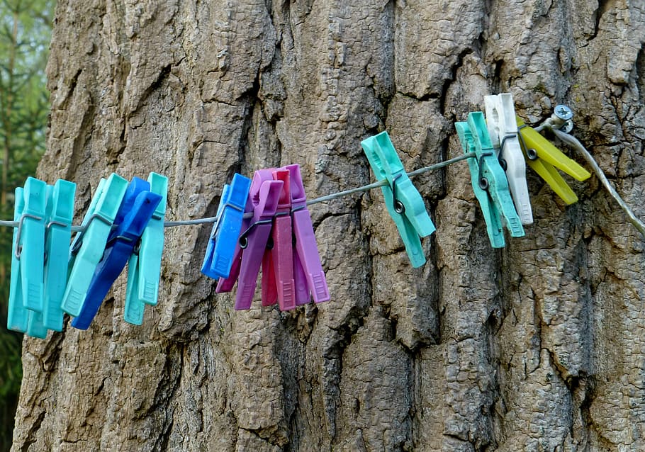 clothes line, washing brackets, tree, bark, garden, hanging HD wallpaper