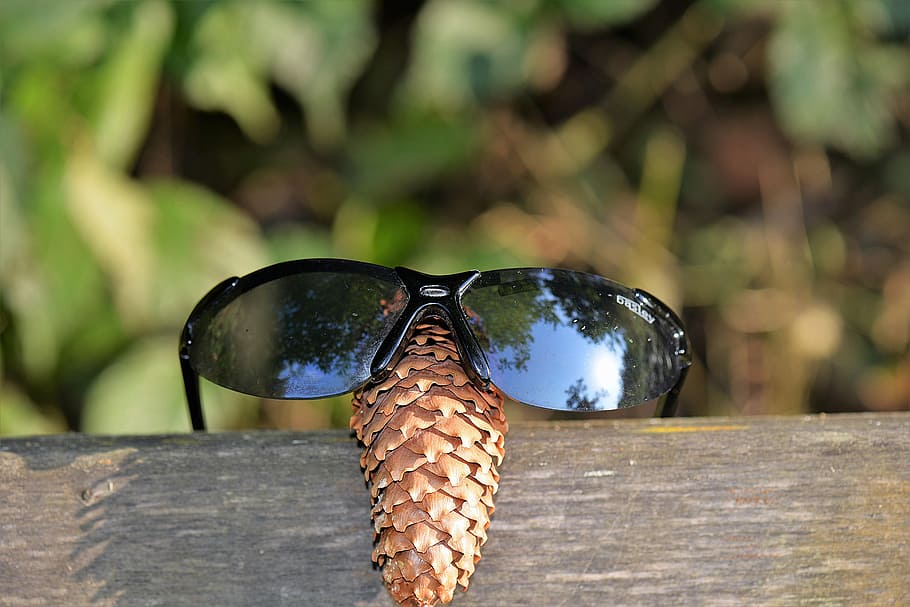 black sunglasses on brown wooden panel, tap, funny, close, nature HD wallpaper