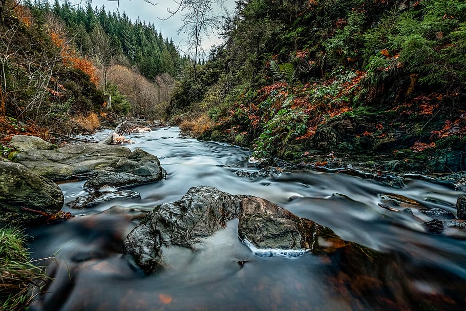 long exposure photography of river, river between trees at daytime HD wallpaper