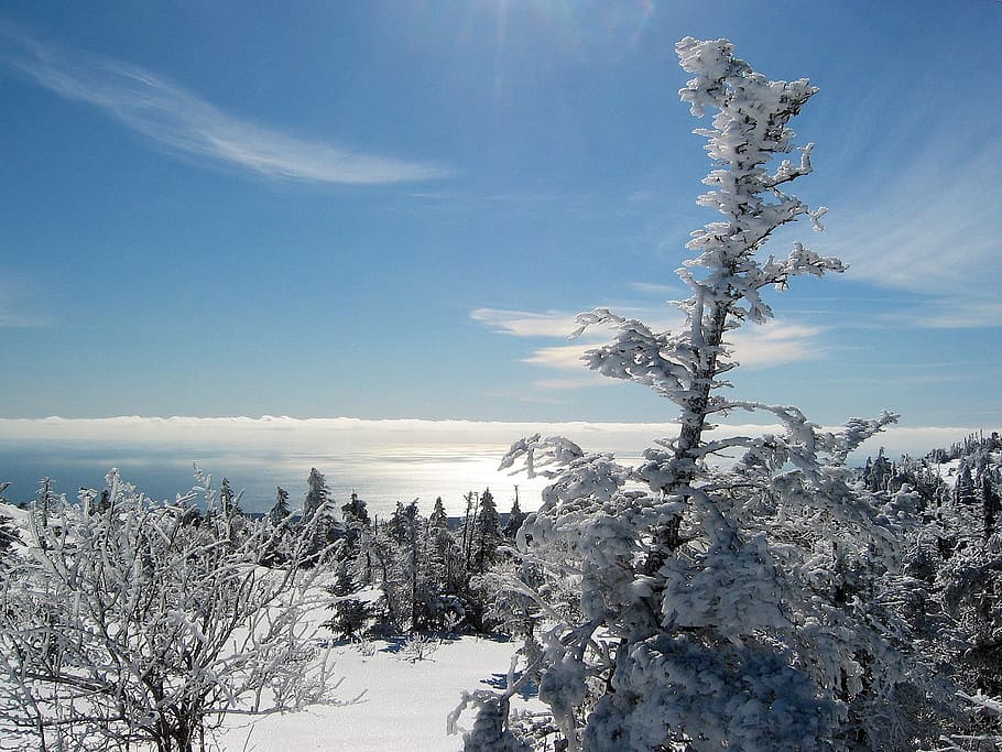 Acadia National Park, Maine, Landscape, winter, snow, ice, sky, HD wallpaper