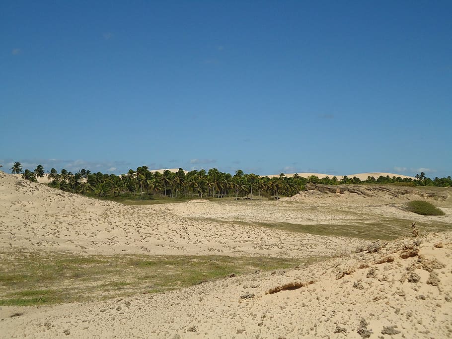blue sky, sand, mar, beach, horizon, nature, beira mar, bay HD wallpaper