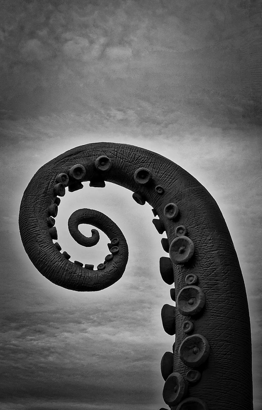 grayscale photo of octopus tail, dragon, fantasy, monster, symbol HD wallpaper