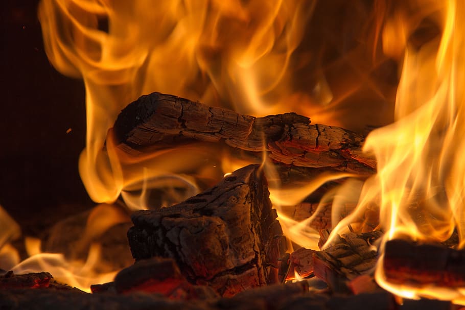 burning firewods, flame, wood, fireplace, hot, heat, blaze HD wallpaper