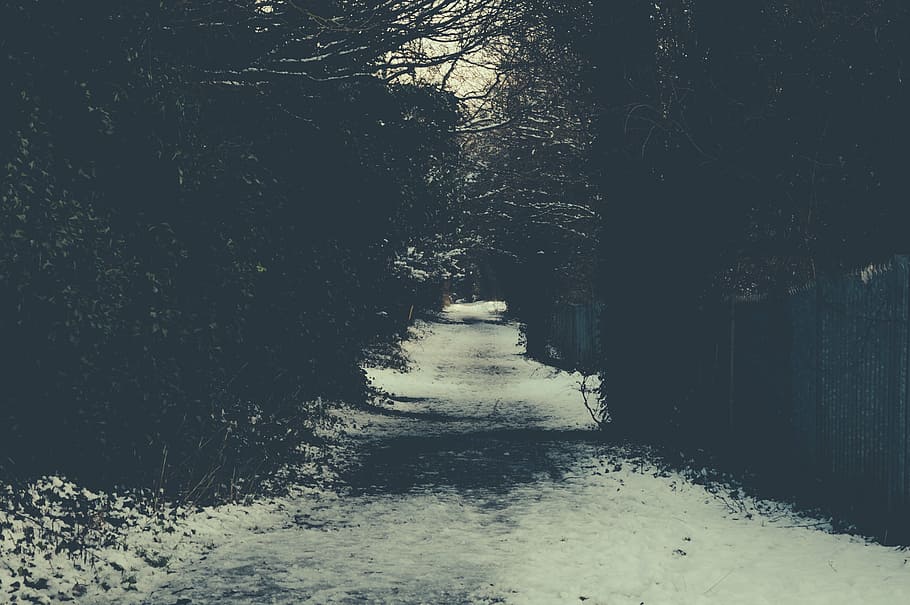 road covered in snow, grayscale, photography, trees, path, sidewalk HD wallpaper