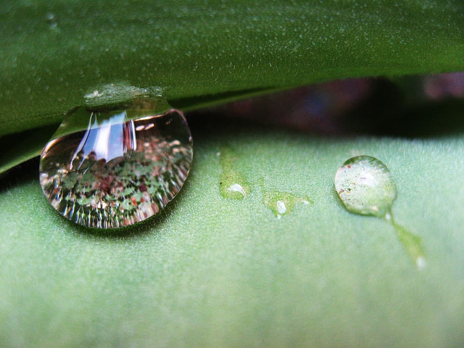 drop, water, green, close-up, green color, no people, jewelry HD wallpaper