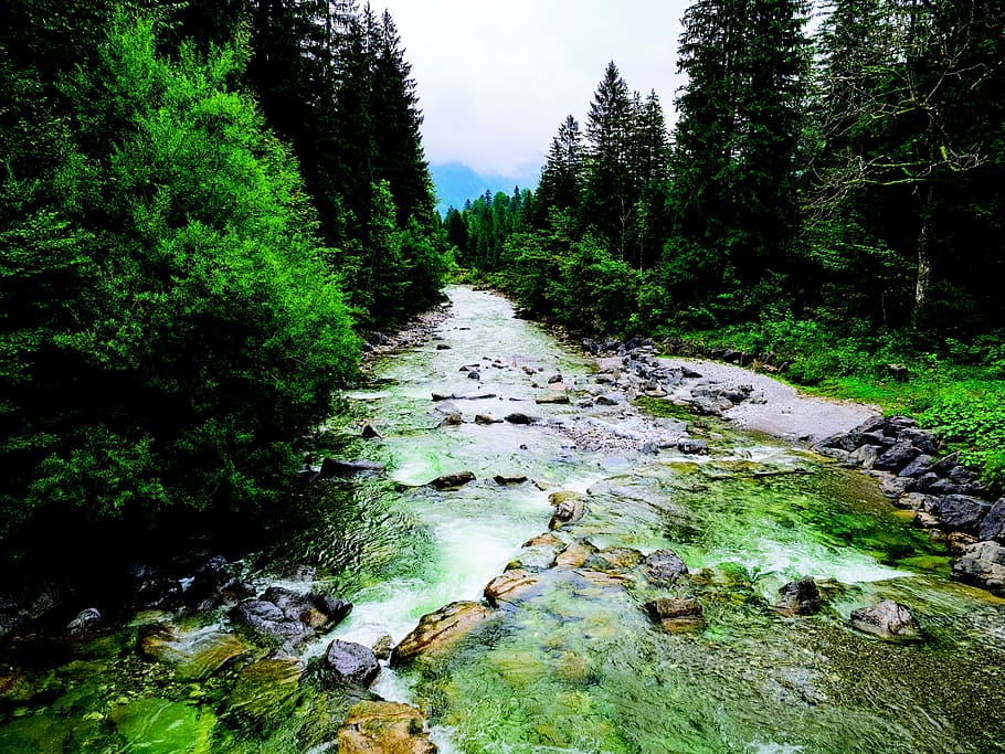 river between green trees during daytime, cascade, nature, water HD wallpaper