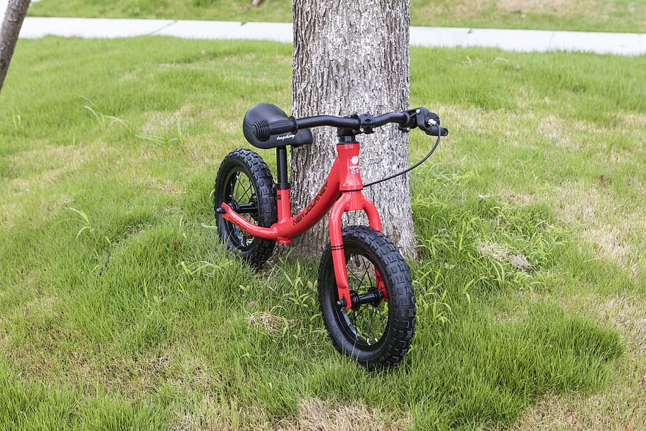 stroller, bike, trolley, grass, plant, bicycle, field, land HD wallpaper