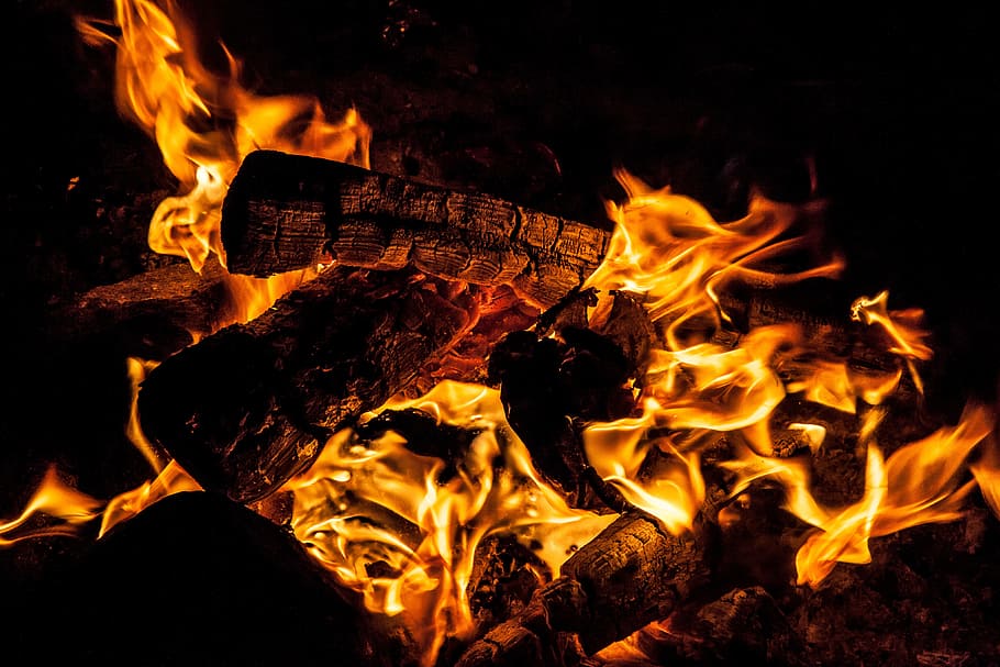 bon fire, burning coal macro photography, bonfire, campfire, fire - Natural Phenomenon, HD wallpaper