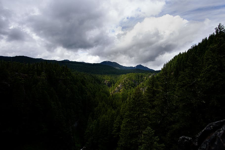 aerial view of mountain, aerial photography of forest, green mountains HD wallpaper