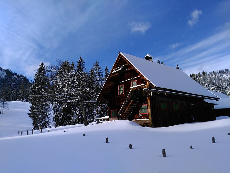 winter, snow, cold temperature, architecture, tree, built structure HD wallpaper