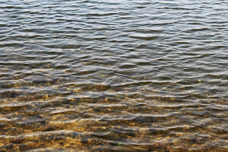 Water, Spring, Spring, Lake, Surface, backgrounds, rippled HD wallpaper