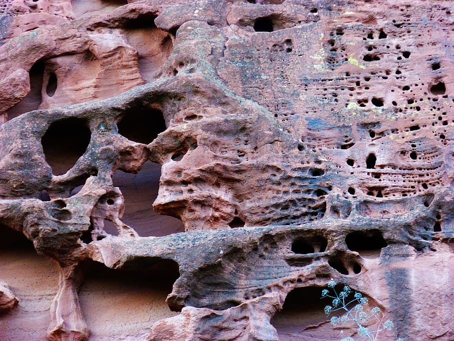 rock, sandstone, forms, erosion, texture, history, architecture HD wallpaper