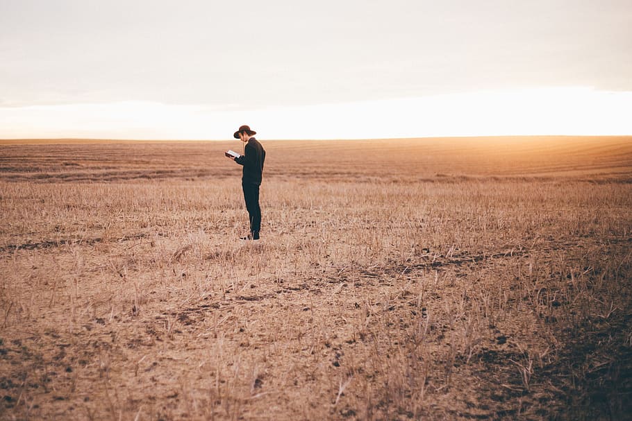 person standing on grass field, man, guy, dried, hat, book HD wallpaper