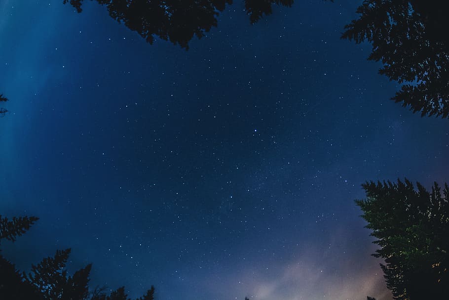low angle photo of stars, low angle photography of cloudless sky HD wallpaper