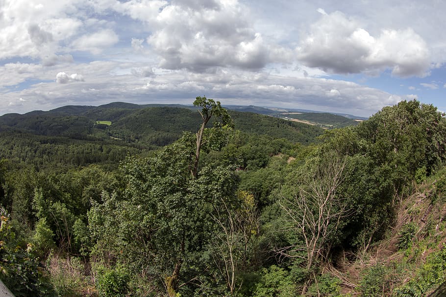 thuringia germany, thuringian forest, panorama, plant, tree HD wallpaper