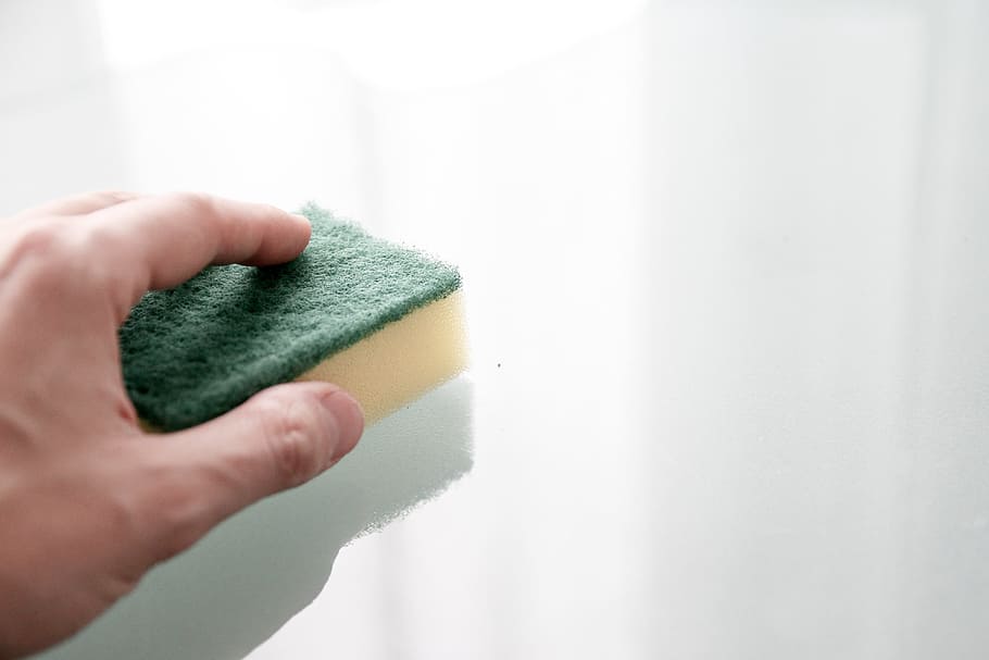 person holding a sponge, cleaning, washing, cleanup, washcloth HD wallpaper