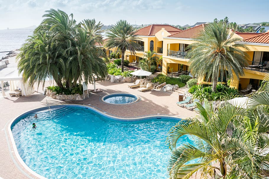high angle photo of swimming pool surrounded by trees, resort HD wallpaper