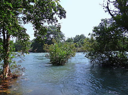 river, kali, water, flow, scenery, western ghats, dandeli, india HD wallpaper