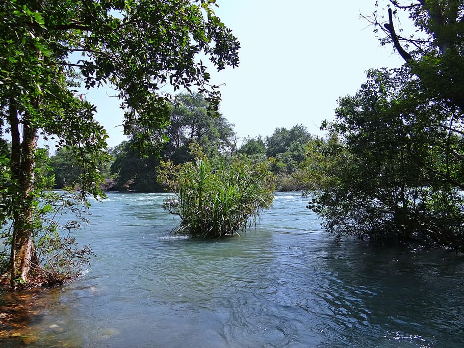 river, kali, water, flow, scenery, western ghats, dandeli, india HD wallpaper