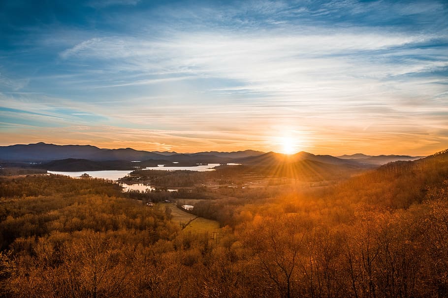 brown trees near lake and mountain during sunrise, sunset, sky HD wallpaper
