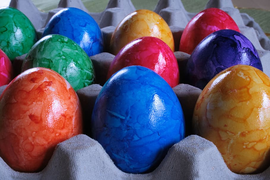 easter eggs, colored, colorful, range, egg carton, hartgekocht HD wallpaper