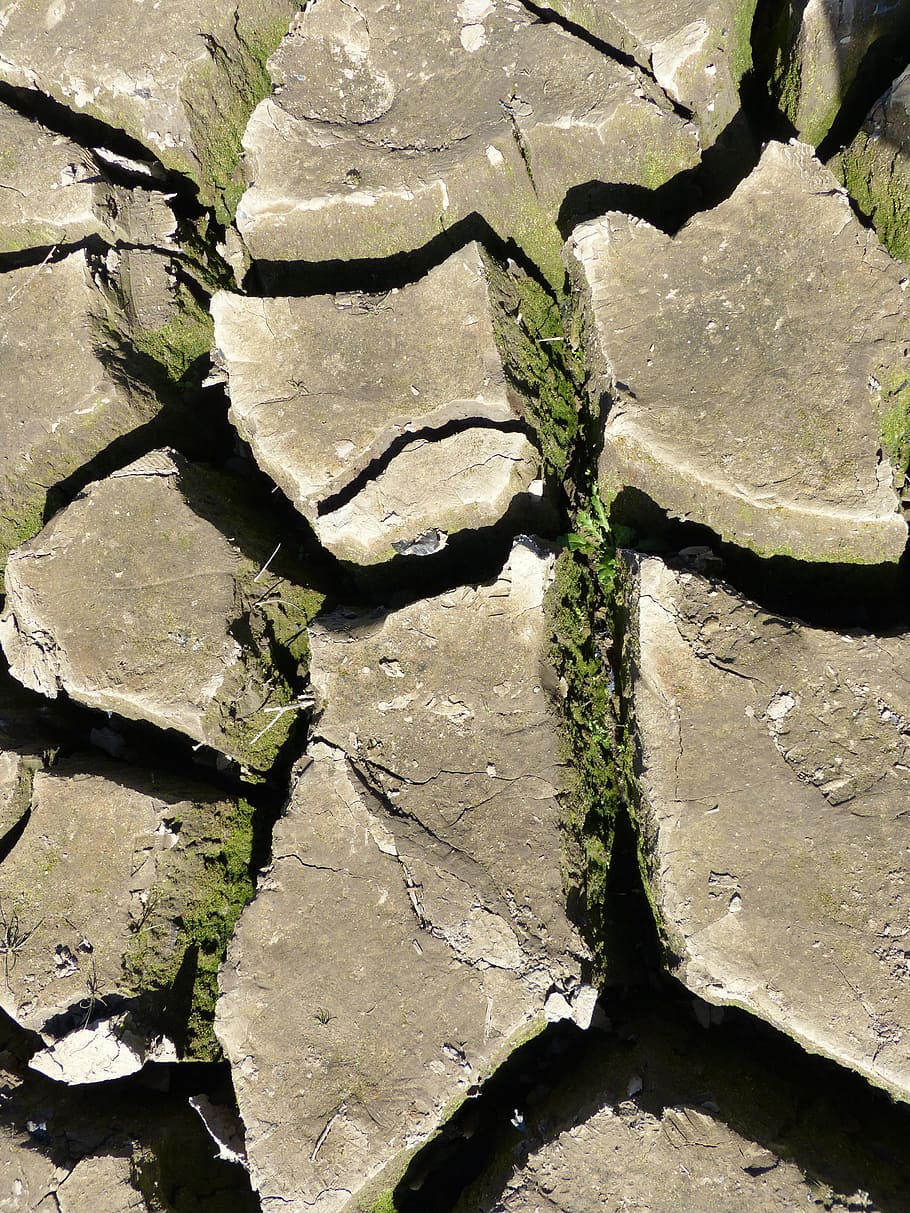guerledan, cracked earth, mud, nature, no people, backgrounds HD wallpaper