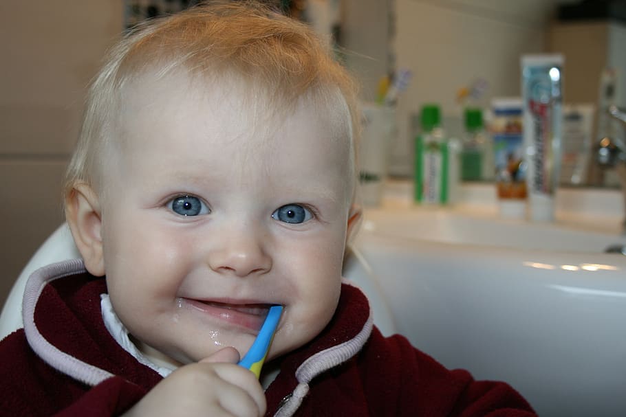 toddler brushing his teeth, brushing teeth, tooth, bless you, HD wallpaper