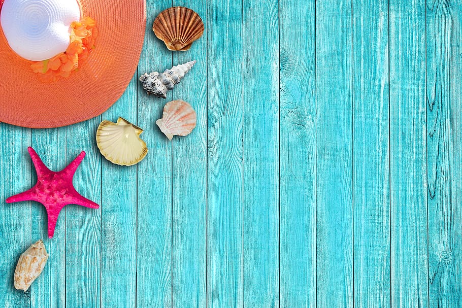 close up photo of sea shells in teal wooden floor and brown and white sun hat