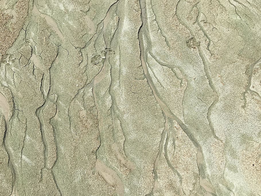 sand, branches, tendrils, algae, great salt lake, imprint, pattern