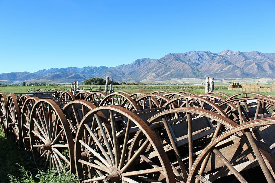 wagon wheel, farm, rustic, antique, vintage, old, rural, history, HD wallpaper