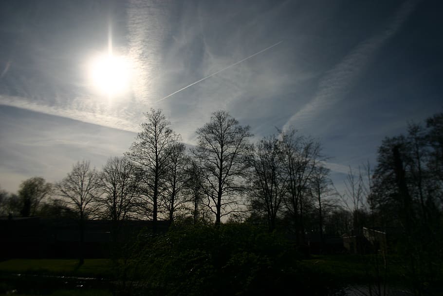 air, sun, clouds, nature, tree, landscape, heaven, trees, view HD wallpaper