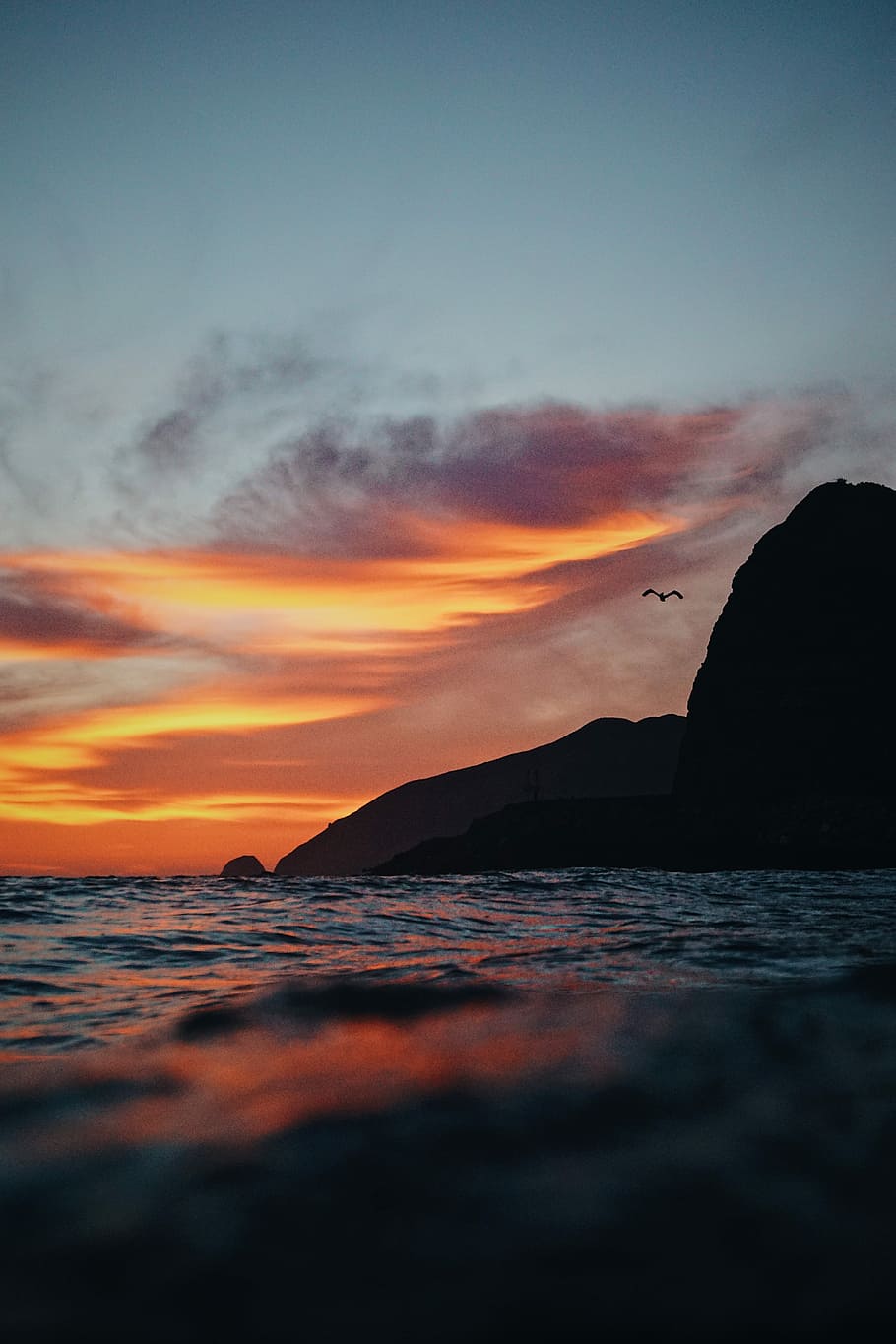 body of water during sunset, silhouette of bird flying over the mountain during sunset HD wallpaper