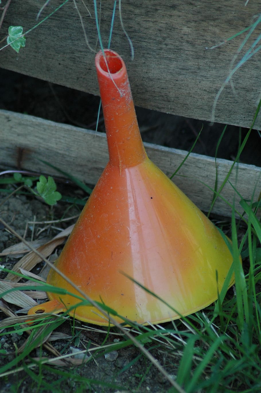 funnel, orange, yellow, light, tool, close-up, no people, plant HD wallpaper