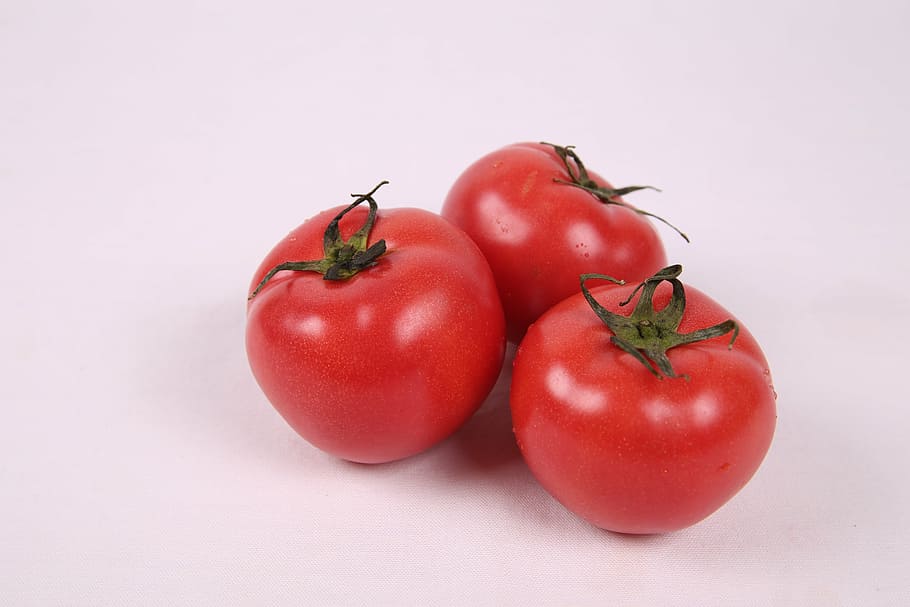 three red tomatoes, fruit, vegetable, fresh tomatoes, health HD wallpaper
