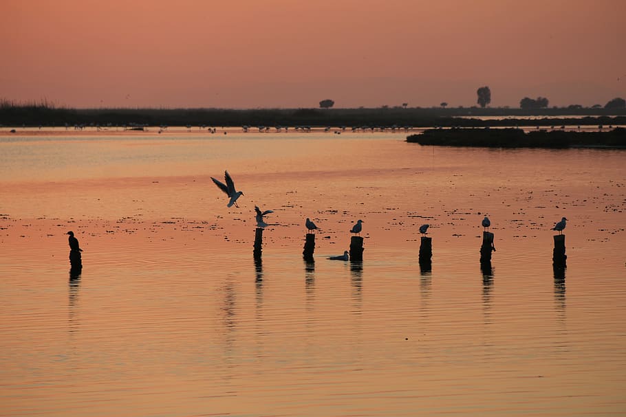 Sunset, Izmir, Solar, Peace, sky, the setting sun, views of the sea HD wallpaper