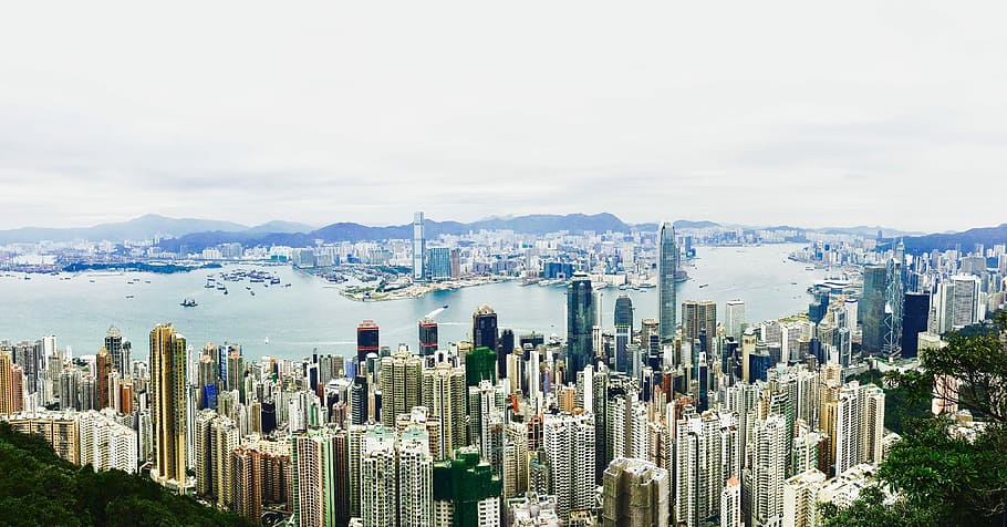 View from the top, aerial photography of city buildings at daytime HD wallpaper
