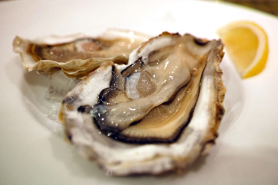 seafood, Restaurant, Cuisine, Diet, Oyster, raw oysters, bivalve, HD wallpaper