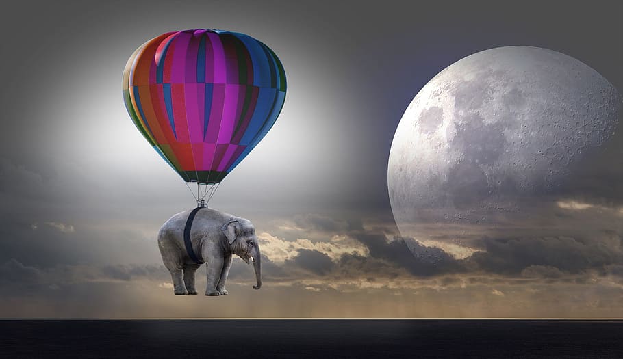 purple, blue, and orange hot air balloon and gray elephant, weightless