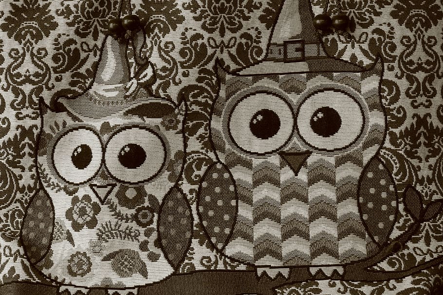 HD wallpaper: Owls, Birds, Animal, Design, Cartoon, cute, wildlife, face |  Wallpaper Flare