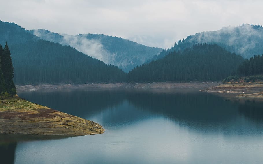 lake, river, water, trees, forest, foggy, clouds, landscape HD wallpaper
