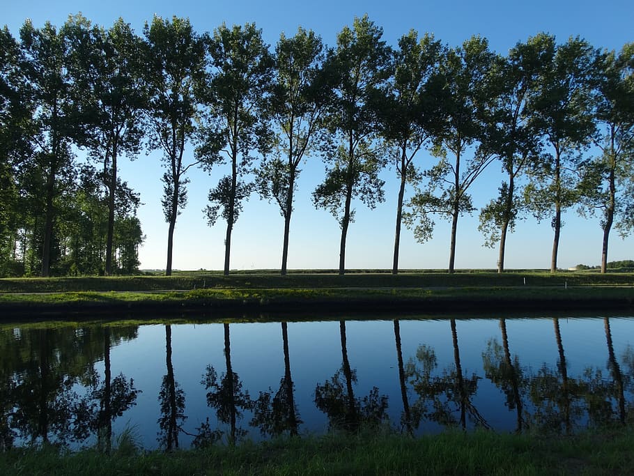 Trees, Evening, Channel, Reflection, lake, nature, scenics HD wallpaper