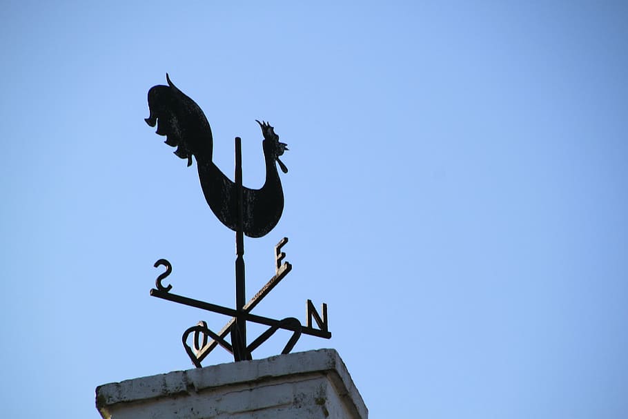 weather vane, hahn, turn, wind direction, show, tower tap wind direction indicator, HD wallpaper