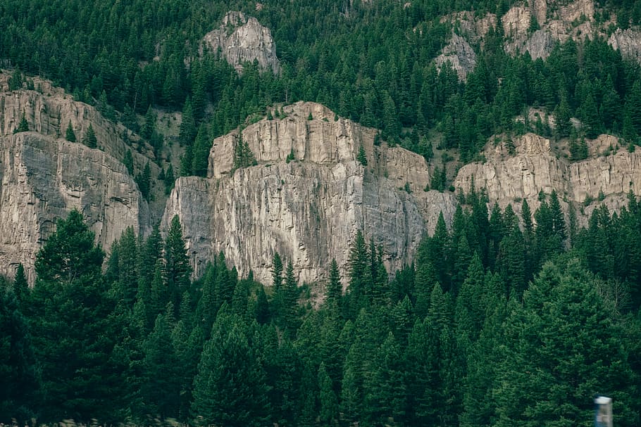forest with grey rock cliffs, rock formation surrounded with green trees HD wallpaper