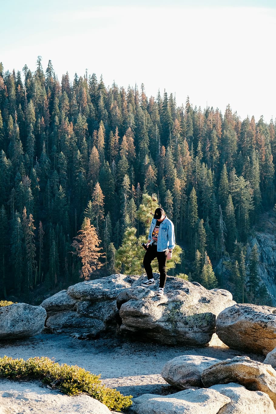 man standing on rock near trees, man standing on gray stone during daytime HD wallpaper